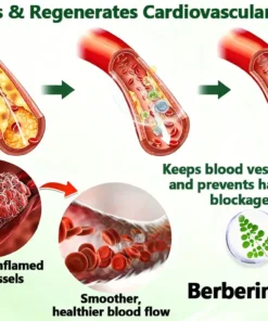 ๐ ๐จ๐ฅ๐ช๐ข๐กยฎ ๐๐๐ซ๐๐๐ซ๐ข๐ง๐ 10-๐ข๐ง-๐ ๐๐๐ง๐จ ๐๐ข๐๐ซ๐จ๐ง๐๐๐๐ฅ๐ ๐๐๐ญ๐๐ก