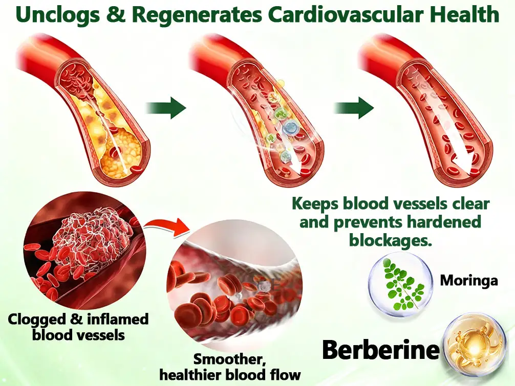 ๐ ๐จ๐ฅ๐ช๐ข๐กยฎ ๐๐๐ซ๐๐๐ซ๐ข๐ง๐ 10-๐ข๐ง-๐ ๐๐๐ง๐จ ๐๐ข๐๐ซ๐จ๐ง๐๐๐๐ฅ๐ ๐๐๐ญ๐๐ก