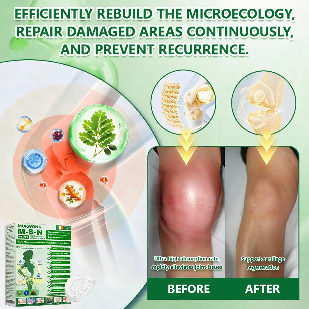 ๐ ๐จ๐ฅ๐ช๐ข๐กยฎ ๐๐๐ซ๐๐๐ซ๐ข๐ง๐ 10-๐ข๐ง-๐ ๐๐๐ง๐จ ๐๐ข๐๐ซ๐จ๐ง๐๐๐๐ฅ๐ ๐๐๐ญ๐๐ก