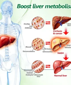 ๐ ๐จ๐ฅ๐ช๐ข๐กยฎ ๐๐๐ซ๐๐๐ซ๐ข๐ง๐ 10-๐ข๐ง-๐ ๐๐๐ง๐จ ๐๐ข๐๐ซ๐จ๐ง๐๐๐๐ฅ๐ ๐๐๐ญ๐๐ก
