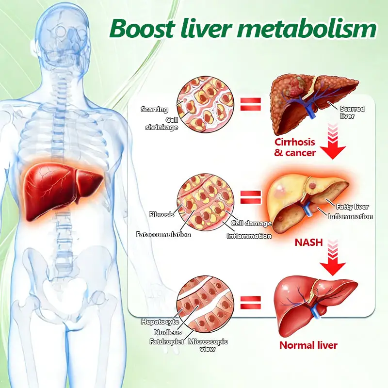 ๐ ๐จ๐ฅ๐ช๐ข๐กยฎ ๐๐๐ซ๐๐๐ซ๐ข๐ง๐ 10-๐ข๐ง-๐ ๐๐๐ง๐จ ๐๐ข๐๐ซ๐จ๐ง๐๐๐๐ฅ๐ ๐๐๐ญ๐๐ก