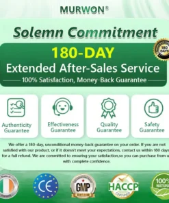 ๐ ๐จ๐ฅ๐ช๐ข๐กยฎ ๐๐๐ซ๐๐๐ซ๐ข๐ง๐ 10-๐ข๐ง-๐ ๐๐๐ง๐จ ๐๐ข๐๐ซ๐จ๐ง๐๐๐๐ฅ๐ ๐๐๐ญ๐๐ก