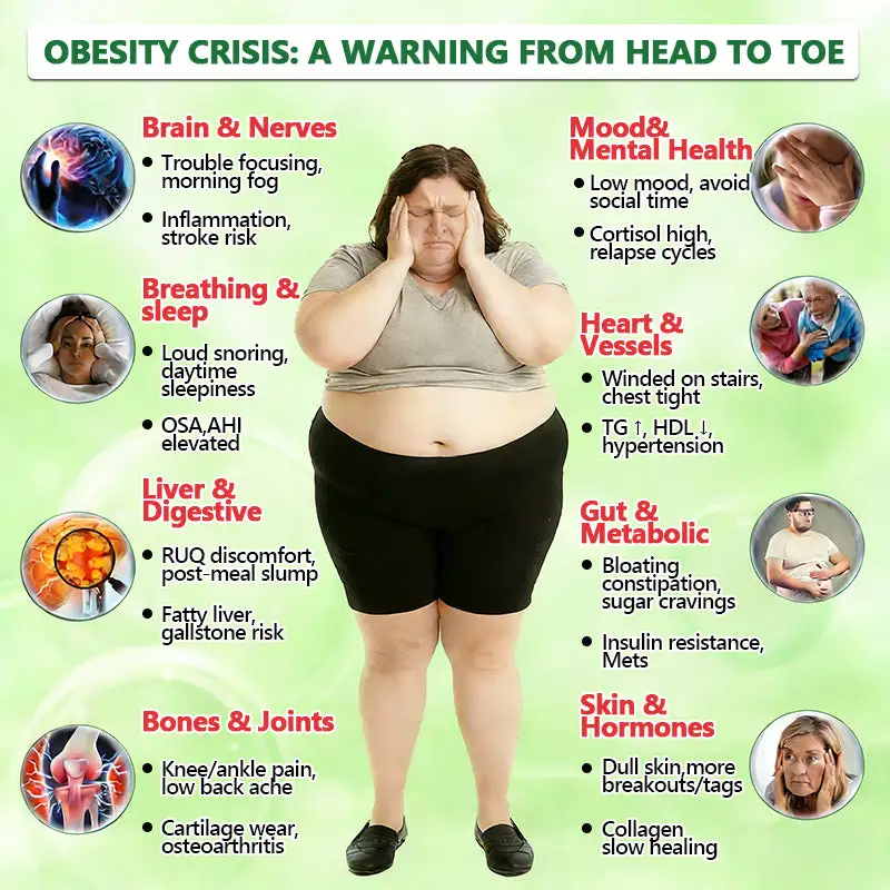 ๐ ๐จ๐ฅ๐ช๐ข๐กยฎ ๐๐๐ซ๐๐๐ซ๐ข๐ง๐ 10-๐ข๐ง-๐ ๐๐๐ง๐จ ๐๐ข๐๐ซ๐จ๐ง๐๐๐๐ฅ๐ ๐๐๐ญ๐๐ก