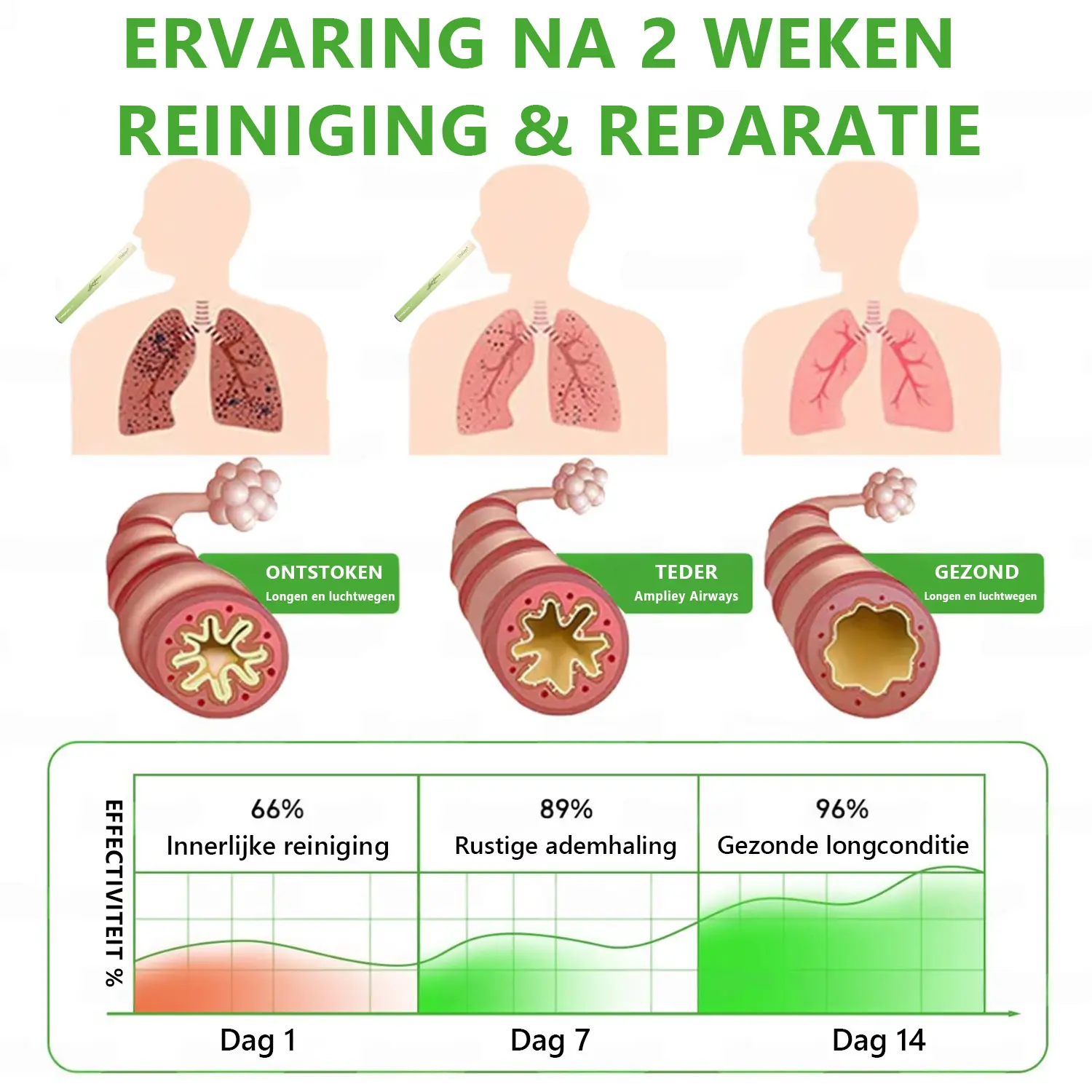 ๐ ๐๐๐ค๐๐ยฎ Botanische koningskaars longreinigingsdiffuser